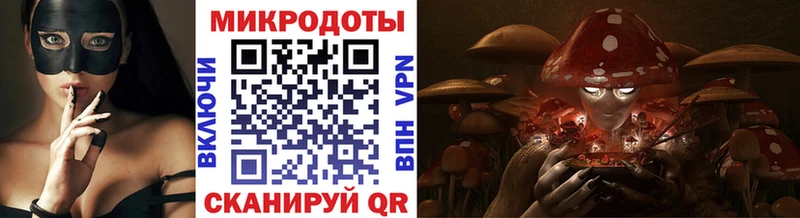 Галлюциногенные грибы Psilocybine cubensis наркотики Родники