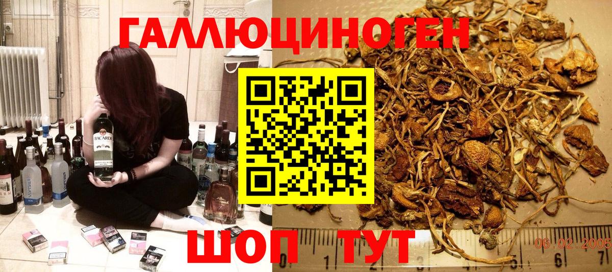 Родники  Псилоцибиновые грибы MAGIC MUSHROOMS  Вход с VPN 